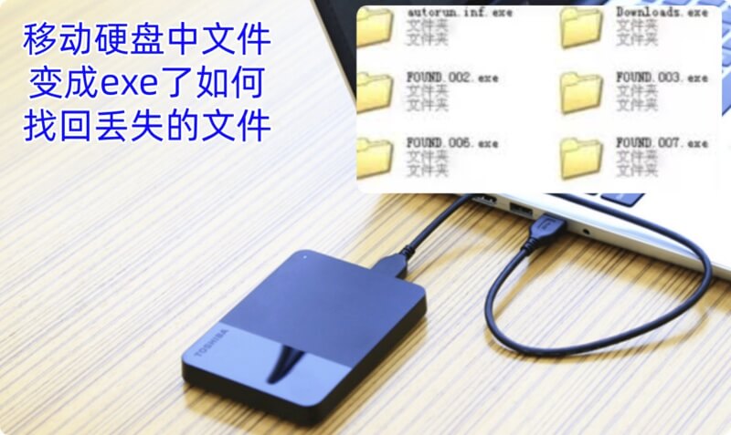 移动硬盘中的文件变成exe了