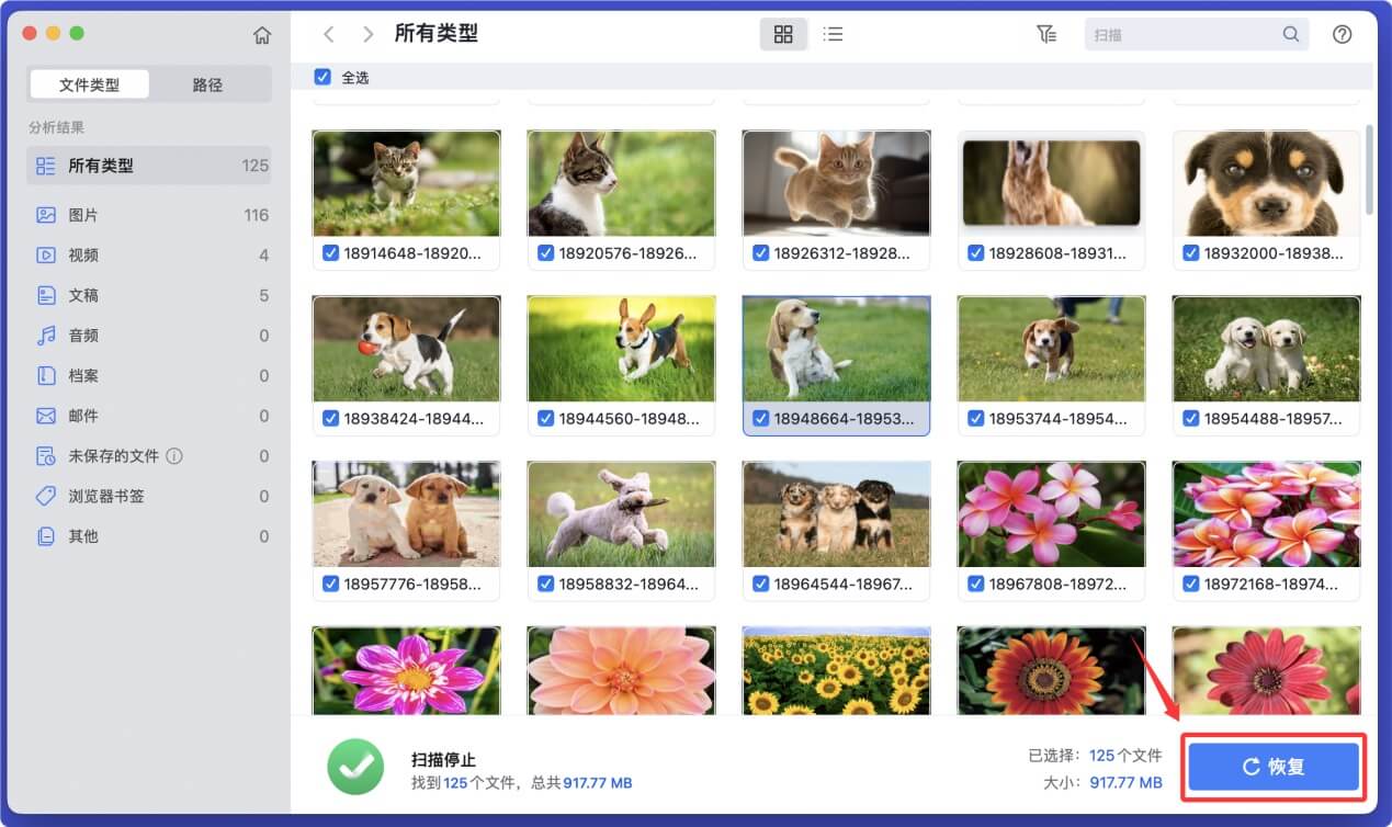 解决APFS硬盘无法在Mac上装载的问题