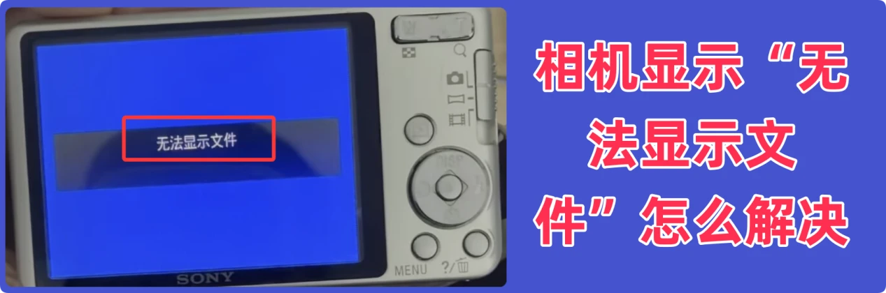 相机无法显示文件怎么办