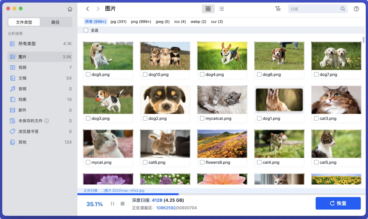 解决存储卡无法被Mac识别、无法显示等问题