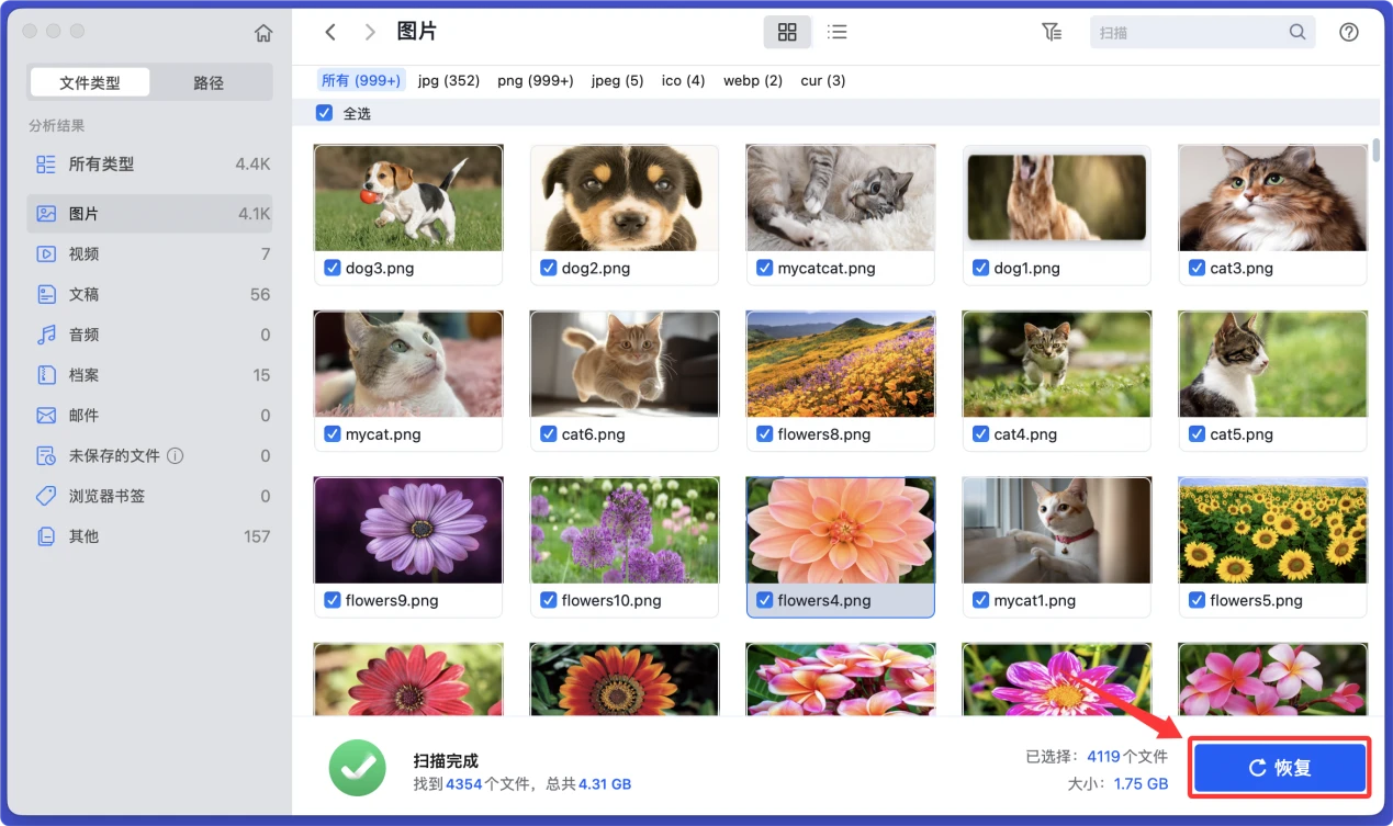 解决存储卡无法被Mac识别、无法显示等问题