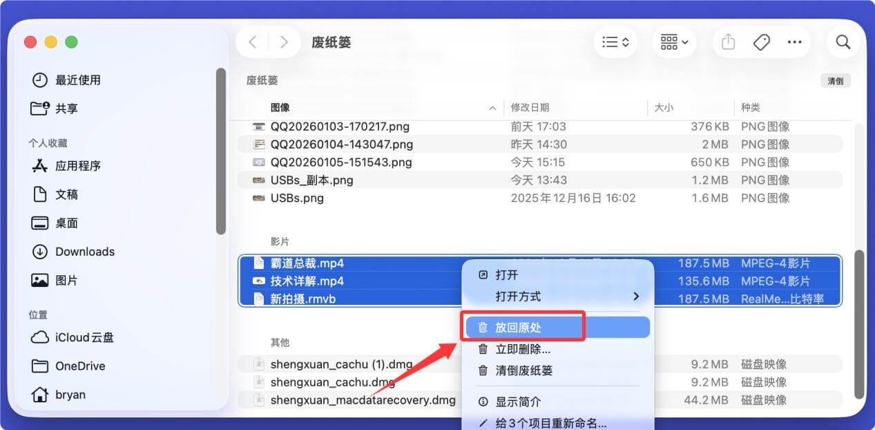 Mac视频文件恢复