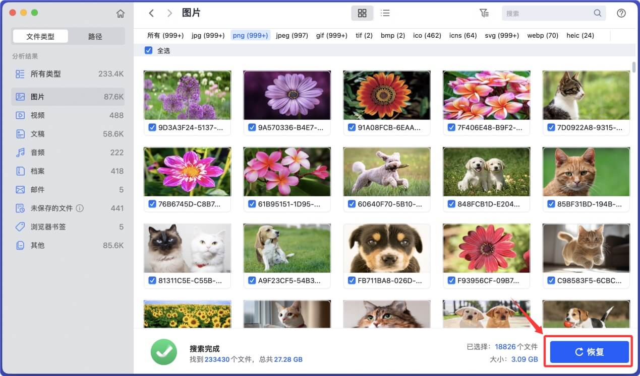 如何才能永久删除Mac上的照片