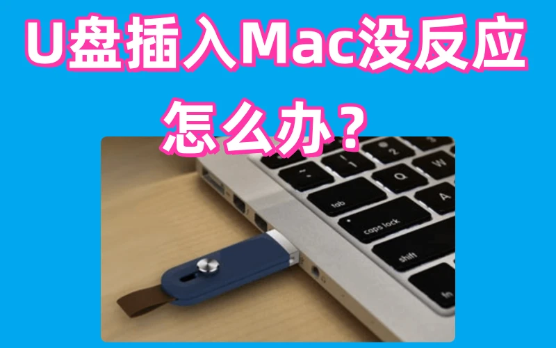 U盘插入Mac没反应