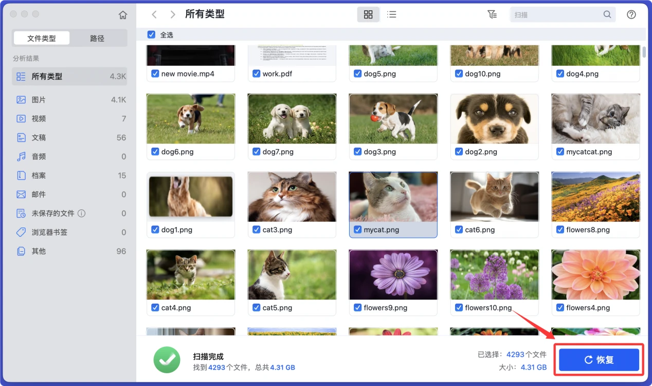 U盘插入Mac没反应