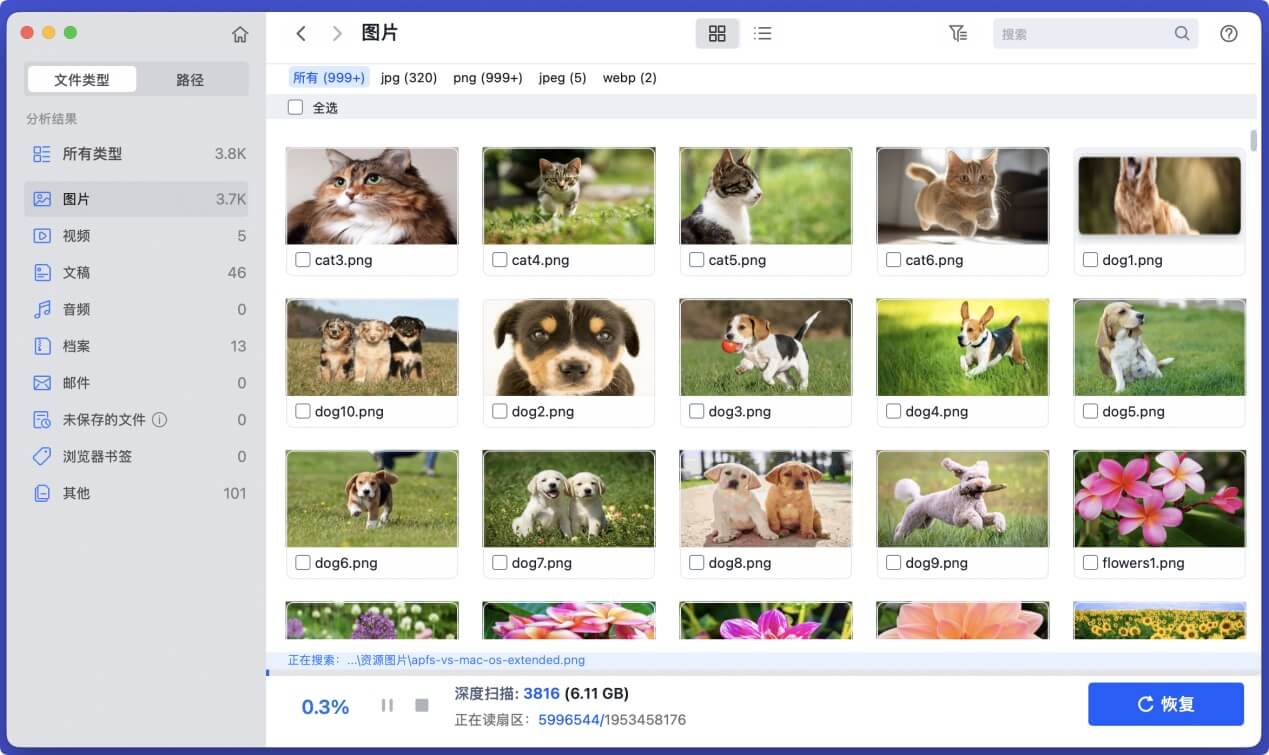 在Mac上从西部数码移动硬盘中恢复丢失的数据