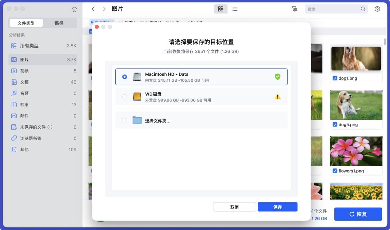 在Mac上从西部数码移动硬盘中恢复丢失的数据